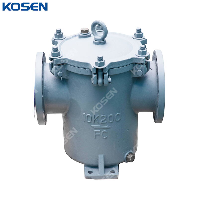 Cast Iron Water Strainer, JIS F7121, FC200, 200A, 10K, 8 IN