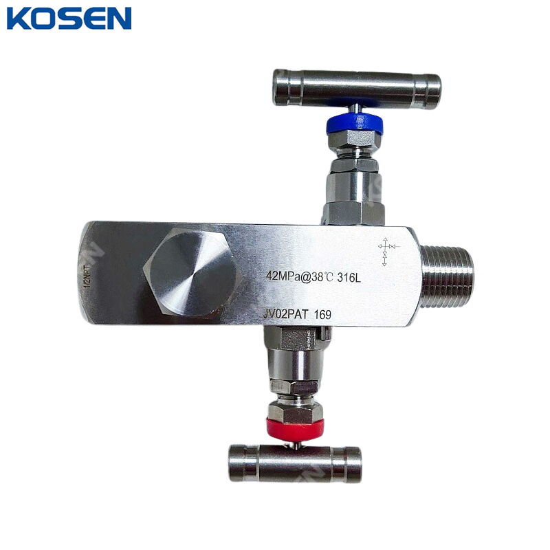 2 Way Manifold Valve, SS 316L, 1/2 IN, DN15, 6000 PSI, FNPT