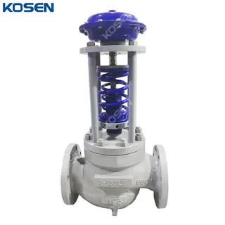 Self-operated Pressure Regulating Valve, WCB, 5 Inch, 150 LB