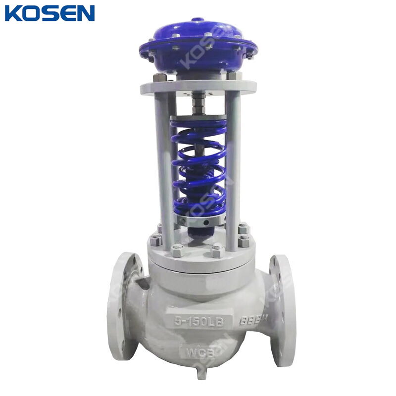 Self-operated Pressure Regulating Valve, WCB, 5 Inch, 150 LB