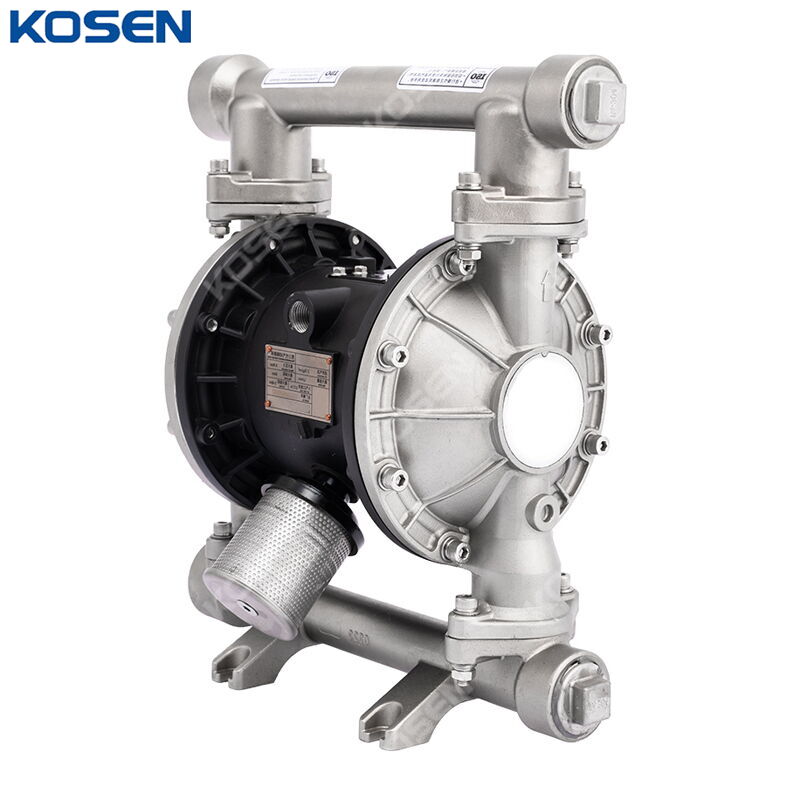 Stainless Steel Diaphragm Pump, DN10-DN125, Threaded Ends