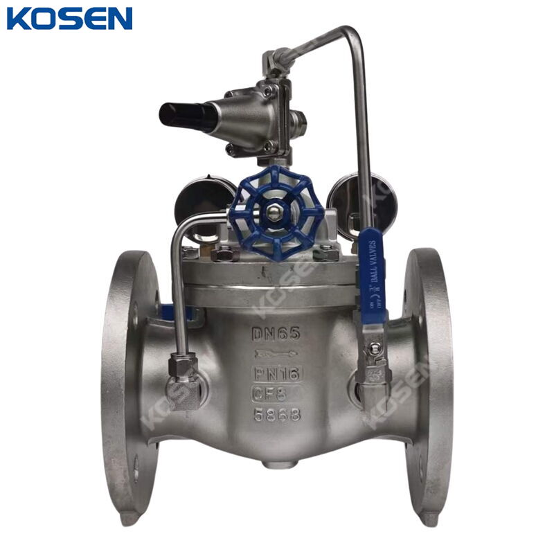 Adjustable Pressure Reducing Valve, A351 CF8, DN65, PN10, RF