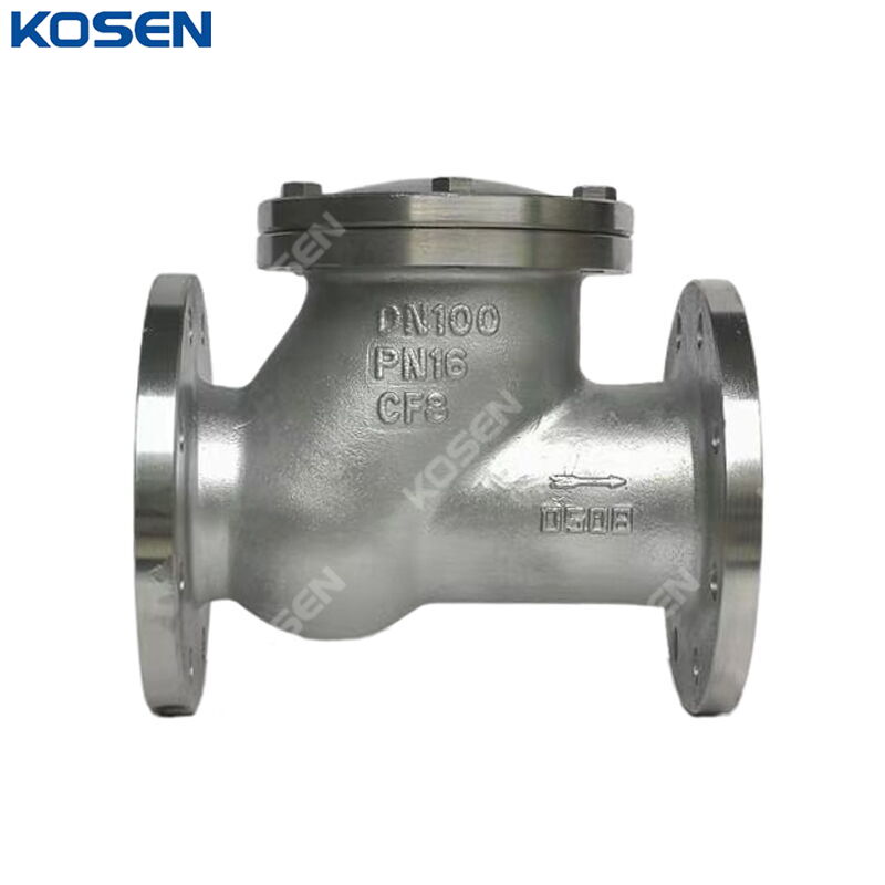 ASTM A351 CF8 Ball Check Valve, DN100, PN16, 4 IN, CL150, RF