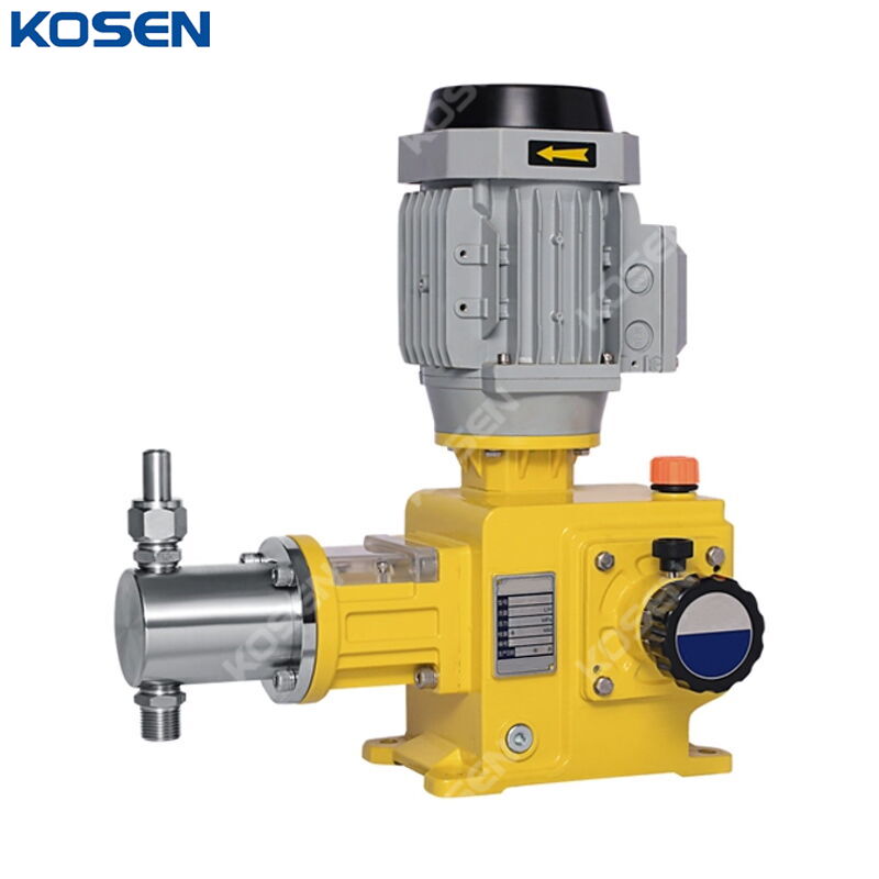 Precision Plunger Metering Pump, 25-500 LPH, SS 304/316, PVC