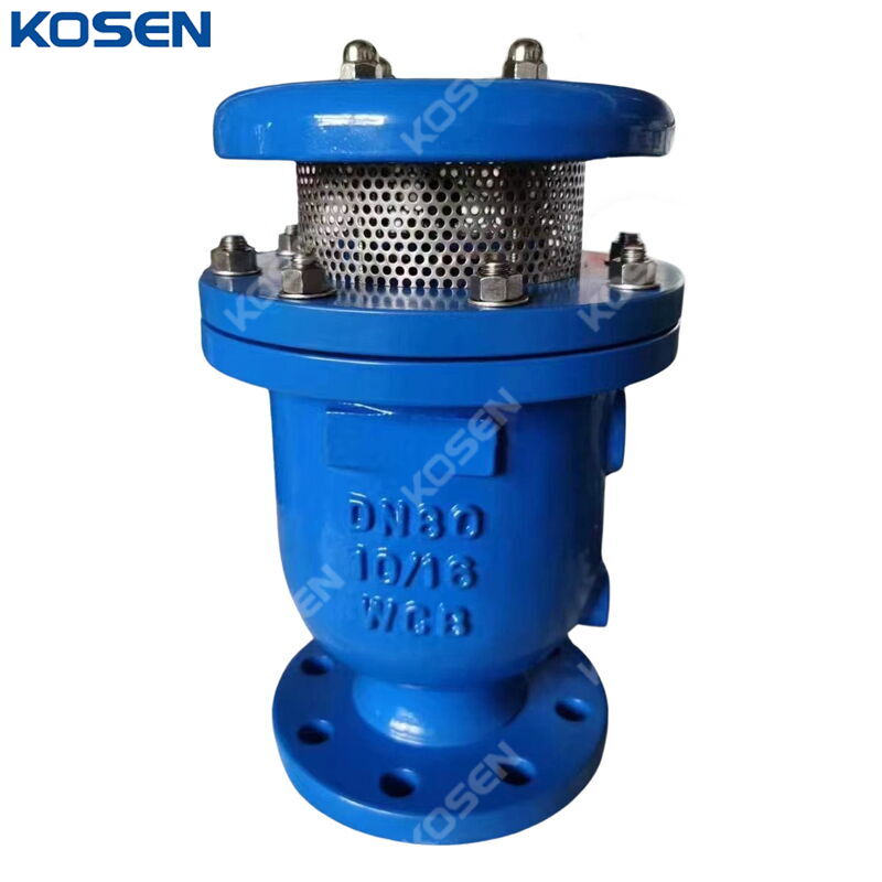 Composite Air Release Valve, ASTM A216 WCB, DN100, PN16, RF