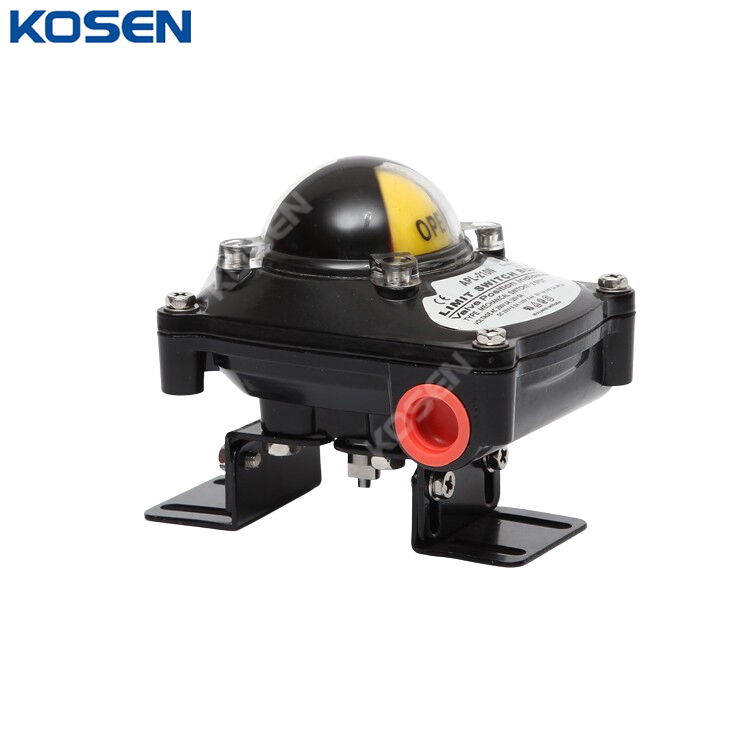 Limit Switch Box, Max 250V AC/DC, Exd II BT4, Explosion-Proof