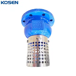 Ductile Iron Foot Valve, GGG40, SS 304 Screen, DN100, PN16