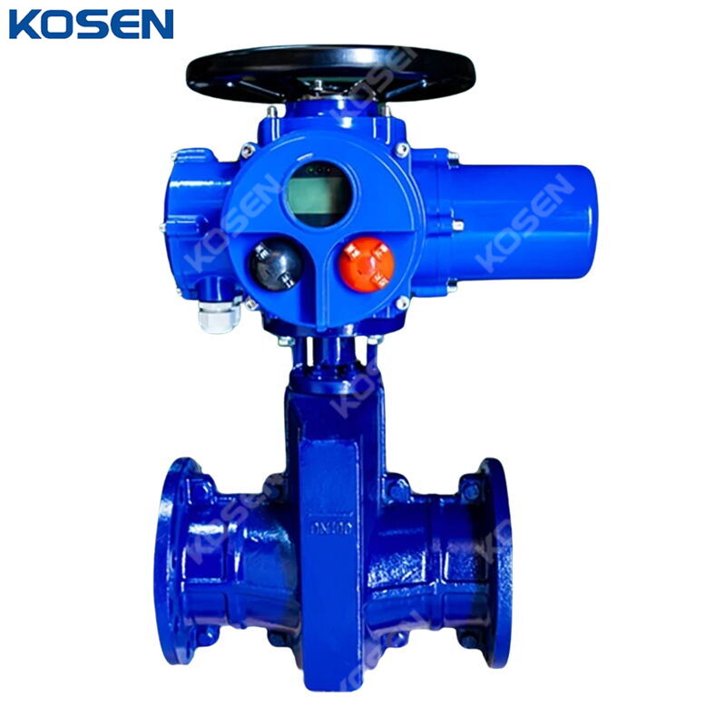 Electric Actuated Pinch Valve, Cast Iron, DN100, PN10, 4 IN