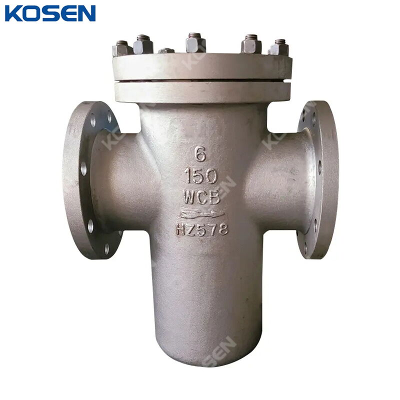 ANSI B16.34 Basket Strainer, ASTM A216 WCB, 6 IN, CL150, RF