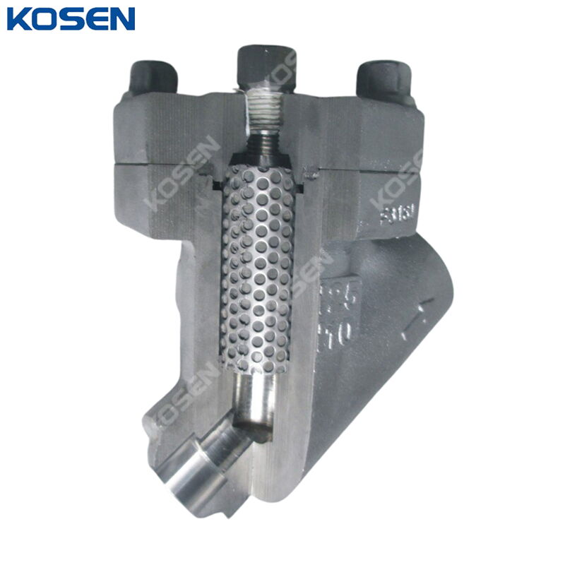 ASTM A182 F316L Y Strainer, API 602, 1 Inch, CL800 LB, FNPT