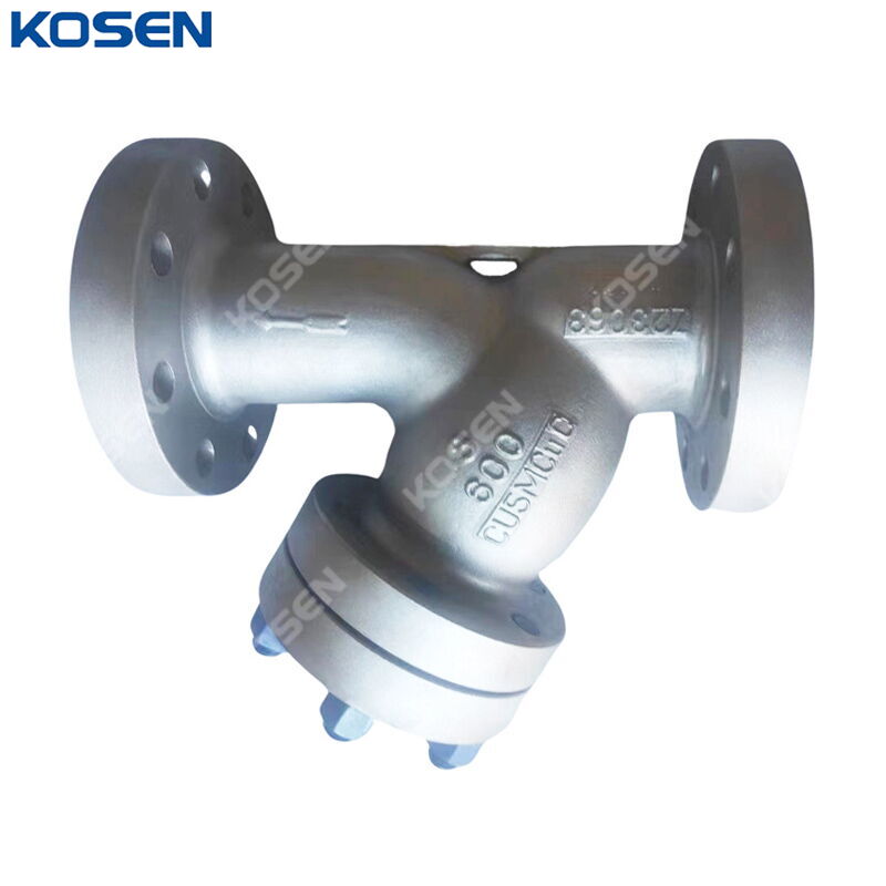 ASTM A494 CU5MCuC Y Strainer, ASME B16.34, 3 IN, CL600, RF