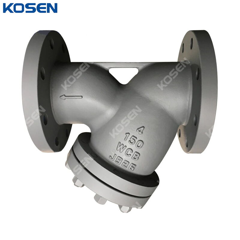 Carbon Steel ASTM A216 WCB Y Strainer, 4 IN, 150 LB, RF Ends