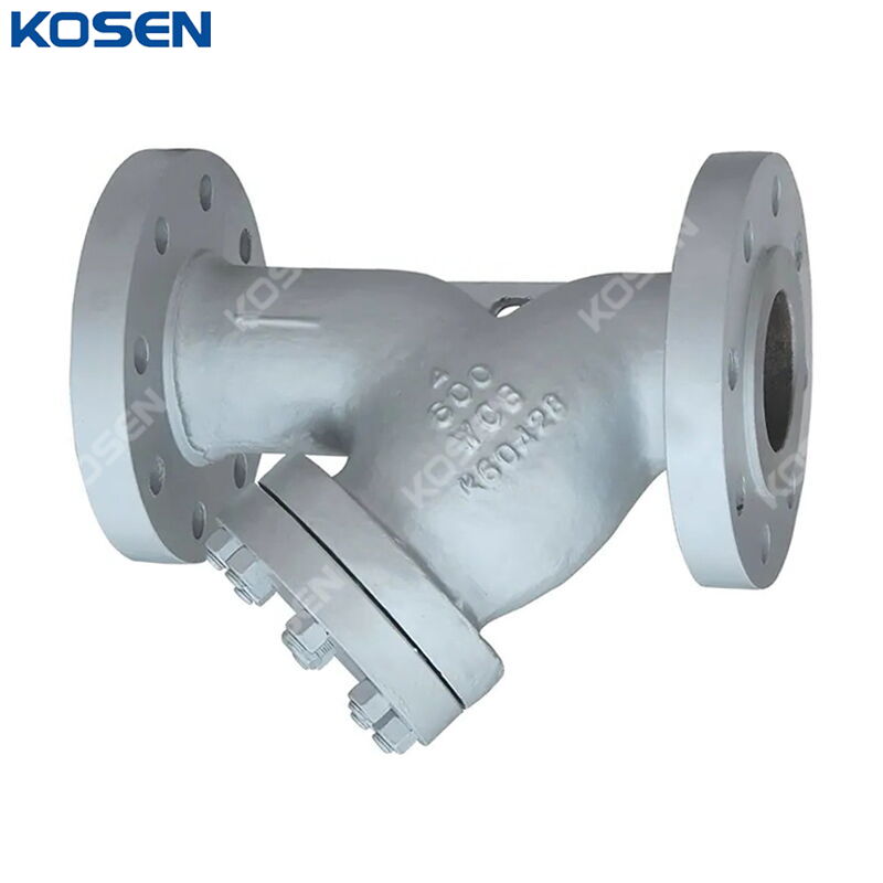 Cast Steel Y Strainer, ASME B16.34, A216 WCB, 4 Inch, 600 LB
