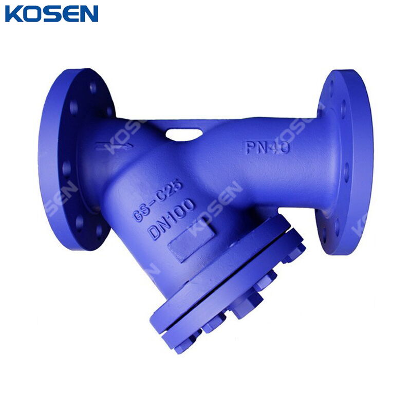 DIN 3352 Y Type Strainer, Cast Steel GS-C25, DN100, PN40, RF
