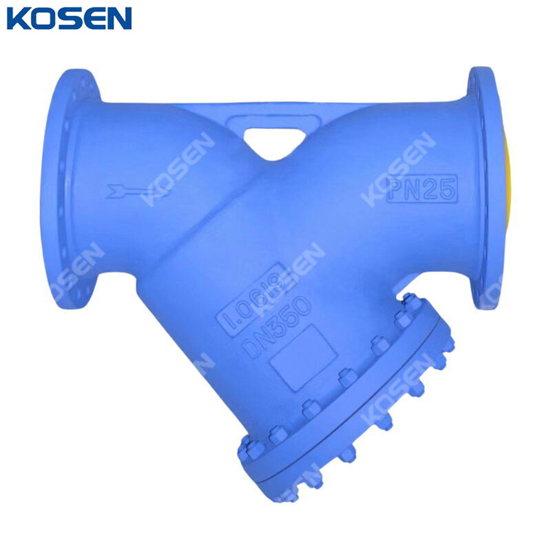 EN 1.0619 Y Strainer, DIN 3352, SS 304 Screen, DN350, PN25