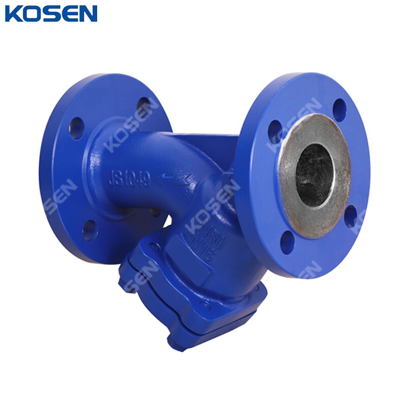GS-C25 Y Strainer, DIN 3352, DN50, PN16, 2 Inch, 150 LB, RF