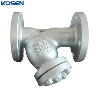 ASME B16.34 Y Strainer, ASTM A216 WCB, 2 Inch, 150 LB, RF