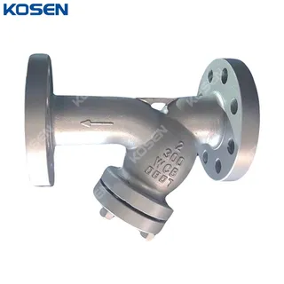 Y Type Pipe Filter, ASME B16.34, ASTM A216 WCB, 2 IN, CL300