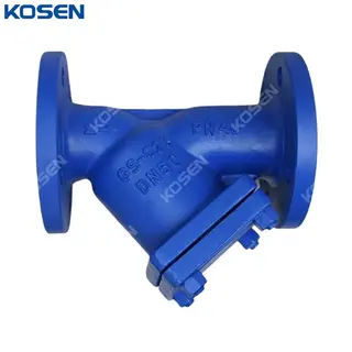 GS-C25 Y Type Strainer, DIN 3352, SS 304 Screen, DN50, PN40