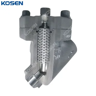 ASTM A182 F316L Y Strainer, API 602, 1 Inch, CL800 LB, FNPT
