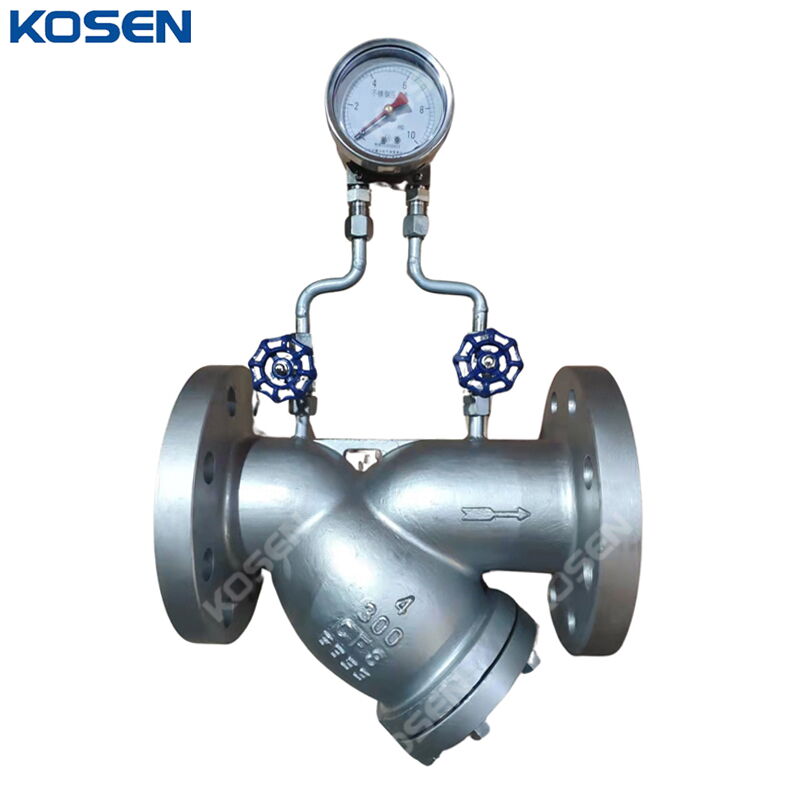 Y Strainer with Pressure Gauge, A351 CF8, 4 Inch, 300 LB, RF