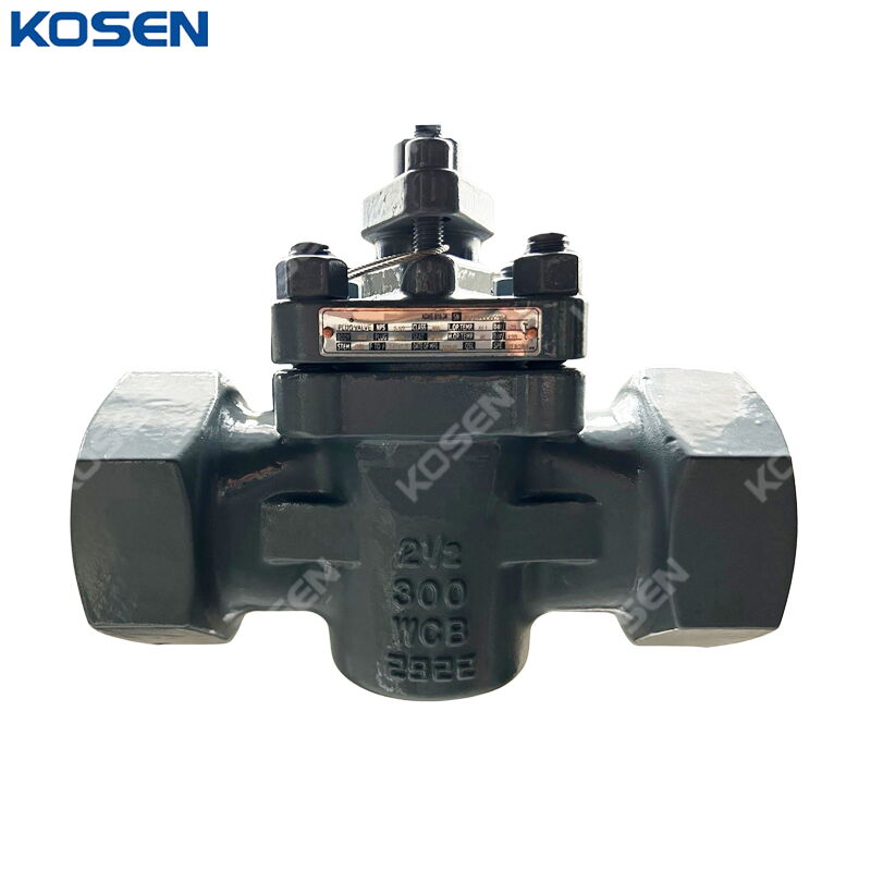 ASTM A216 WCB Sleeved Plug Valve, API 599, 2-1/2 Inch, CL300