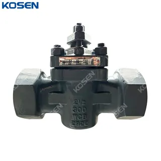 ASTM A216 WCB Sleeved Plug Valve, API 599, 2-1/2 Inch, CL300