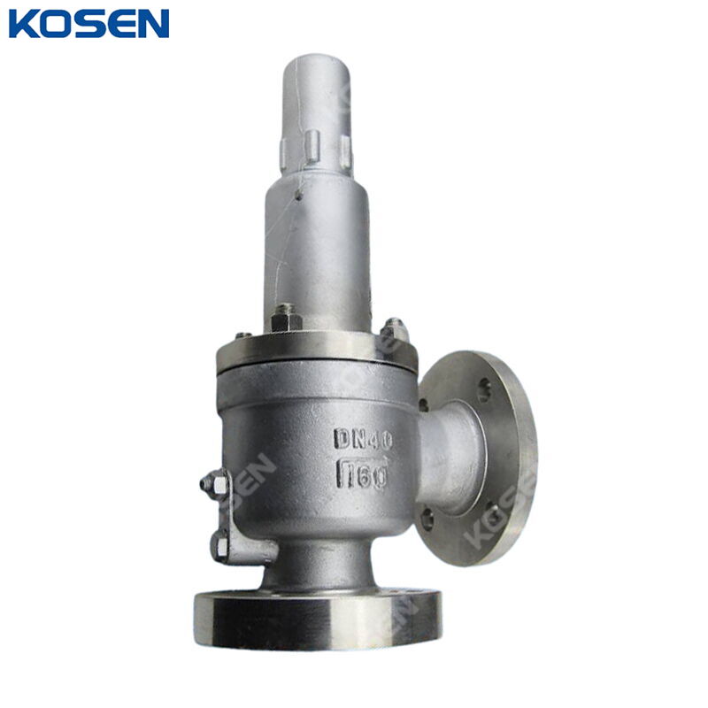 API 526 Safety Valve, ASTM A351 CF8, DN40, PN160, 1-1/2 Inch