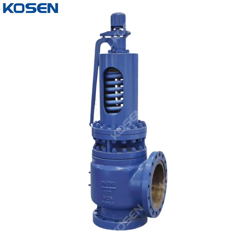 ASTM A216 WCB Safety Valves, API 526, DN250, PN100, Full Lift - China ...