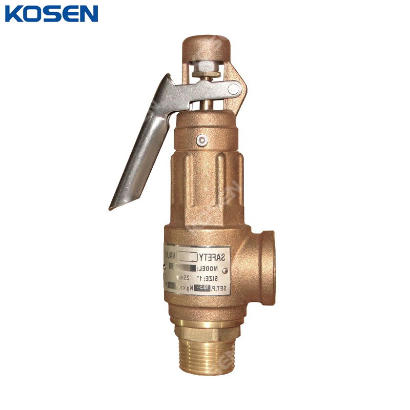 ASTM B62 C83600 Safety Valve, Bronze, DN25, PN10, Threaded