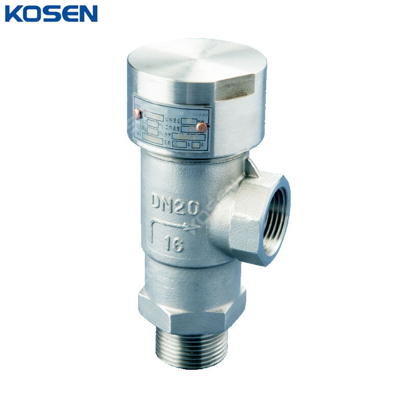 Cryogenic Safety Valve, A351 CF8, DN20, PN16, Threaded Ends