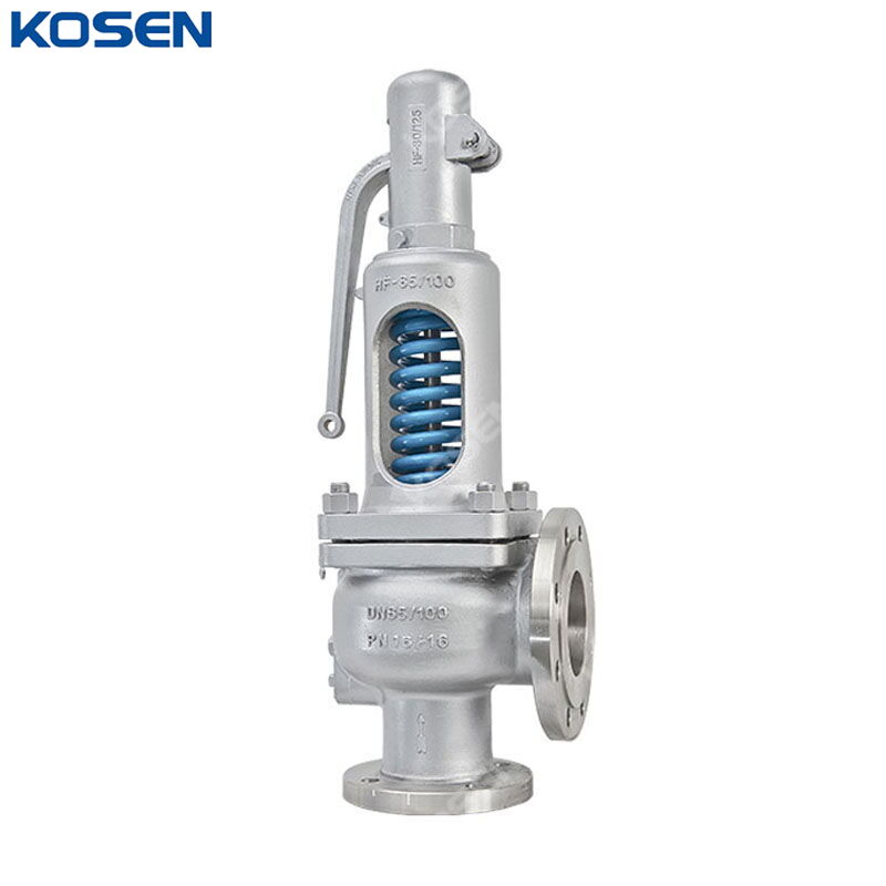 DIN Spring Loaded Safety Valve, A351 CF8, DN65 * DN100, PN16