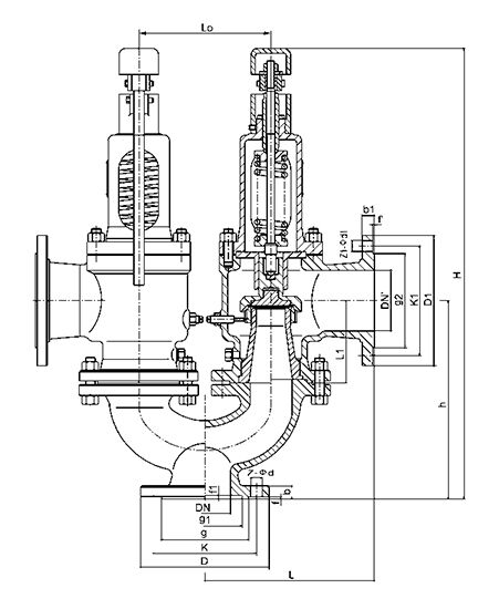 Duplex Spring Safety Valve Structural Diagram