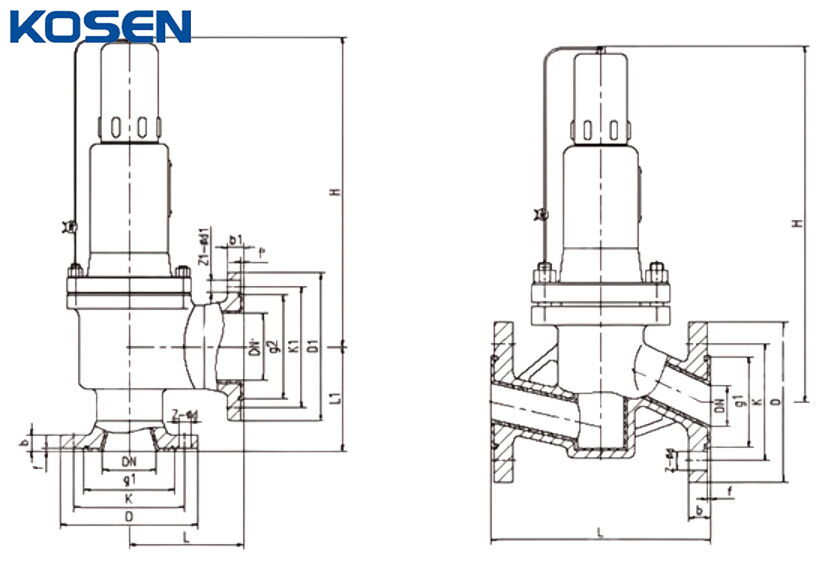 Fluorine Lined Safety Valve Structural Diagram