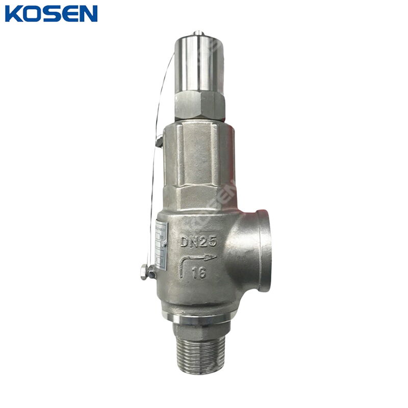 Full Lift Safety Valves, API 526, ASTM A351 CF8, DN25, PN16