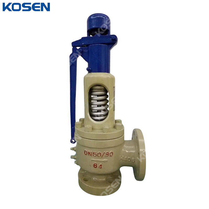 Lever Safety Valve, API 526, ASTM A216 WCB, DN50*DN80, PN64