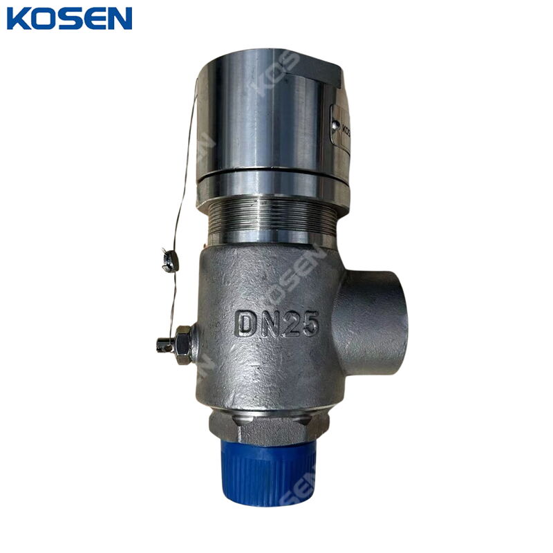 Low-temperature Safety Valve, A351 CF8, DN25, PN16, 1 Inch
