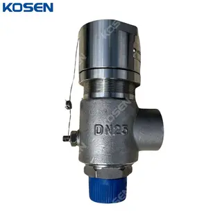 Low-temperature Safety Valve, A351 CF8, DN25, PN16, 1 Inch