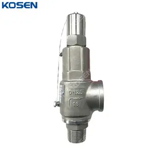Full Lift Safety Valves, API 526, ASTM A351 CF8, DN25, PN16