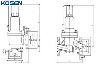 Fluorine Lined Safety Valve Structural Diagram