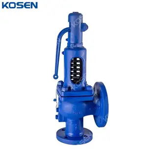DIN Safety Relief Valve, ASTM A216 WCB, DN50, PN16, 2 IN, RF