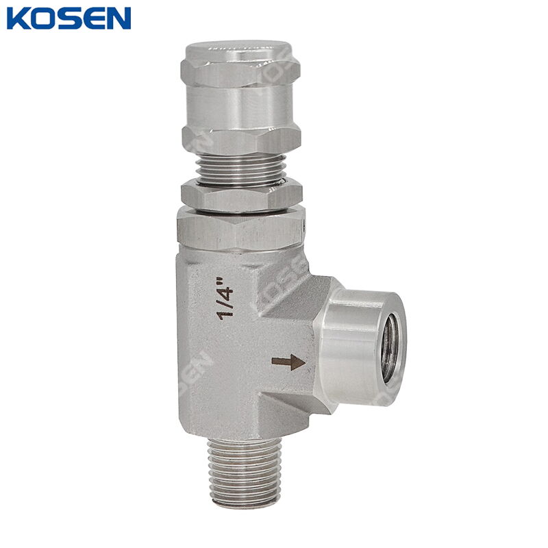 Stainless Steel Safety Valve, ASTM A182 F304, 1/4 IN, CL150