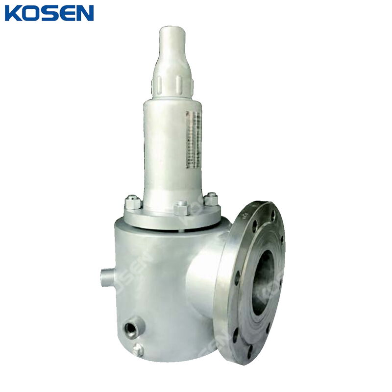 Steam Jacketed Safety Valve, API 526, A351 CF8, DN50, PN16