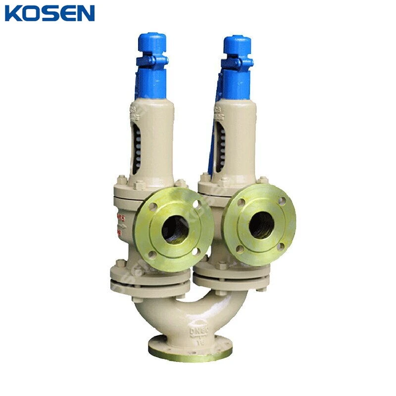 Twin Spring Safety Valve, API 526, ASTM A216 WCB, DN80, PN16 - China ...