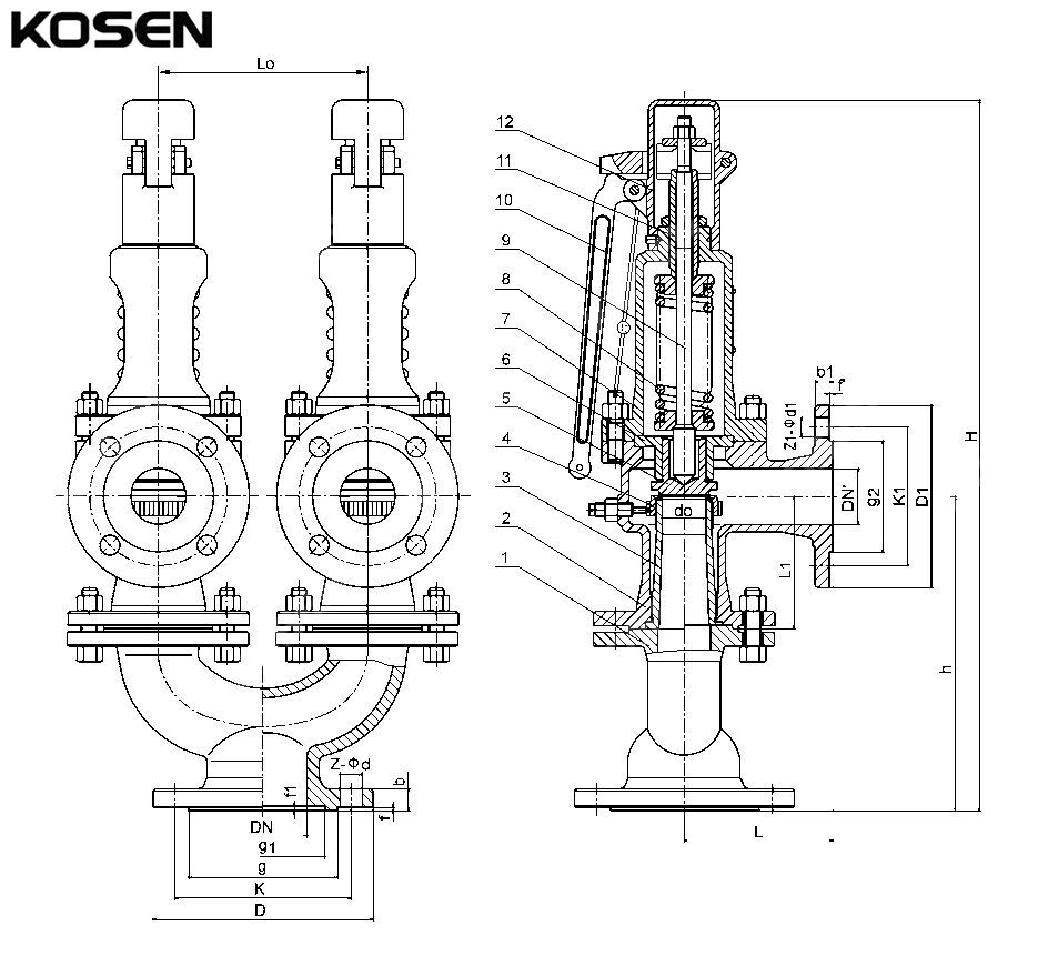 Twin Spring Type Safety Valve Structural Diagram
