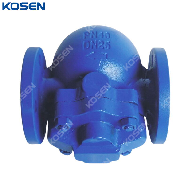 ASTM A216 WCB Steam Trap, ISO 6552, EN 26704, DN25, PN40