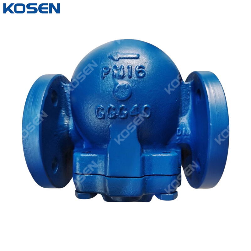GGG40 Ball Float Steam Trap, EN 26704, DN25, PN16, RF End
