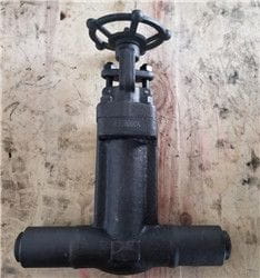Bellows Sealed BW Gate Valves of 1 inch &amp; 1500lb exported by Kelly
