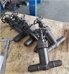Bellows Sealed BW Gate Valves of 1 inch &amp; 1500lb exported by Kelly