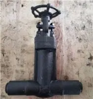 Bellows Sealed BW Gate Valves of 1 inch & 1500lb exported by Kelly